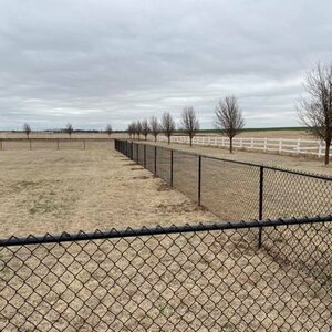 Black Chainlink Fence